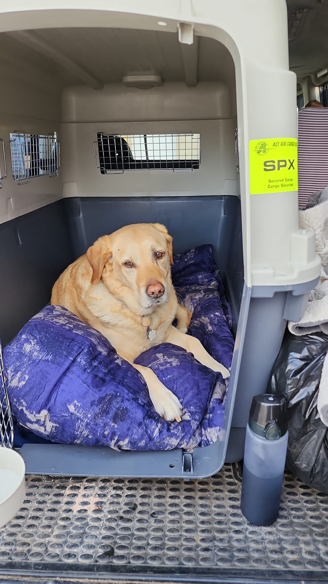 Pets Lets – Pet Friendly Rentals Across London & UK
