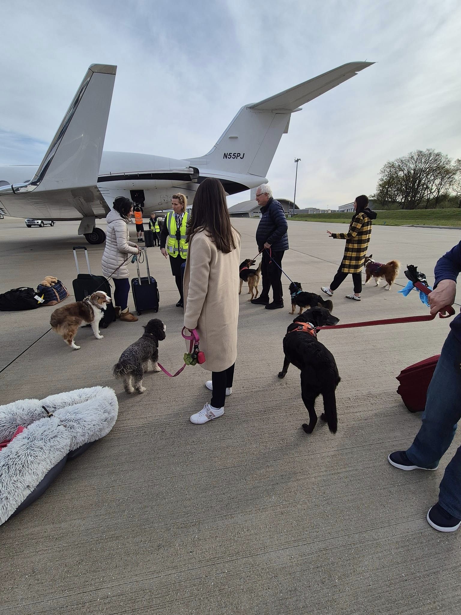 Pets Lets – Pet Friendly Rentals Across London & UK