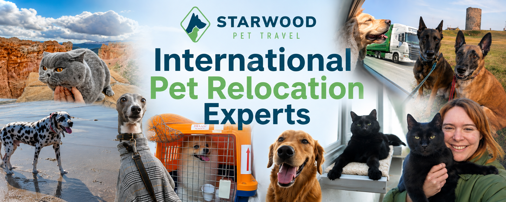 Starwood Pet Travel, international pet relocation experts