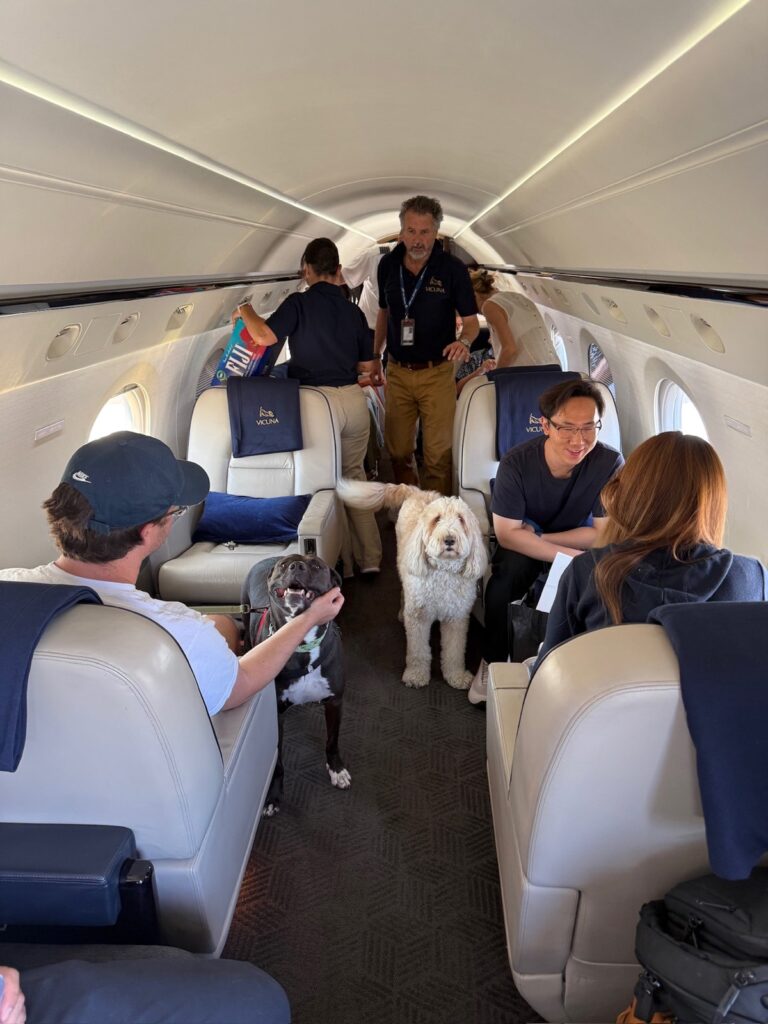 Dog relaxing in the cabin of a Vicuna Air Gulfstream GV private jet