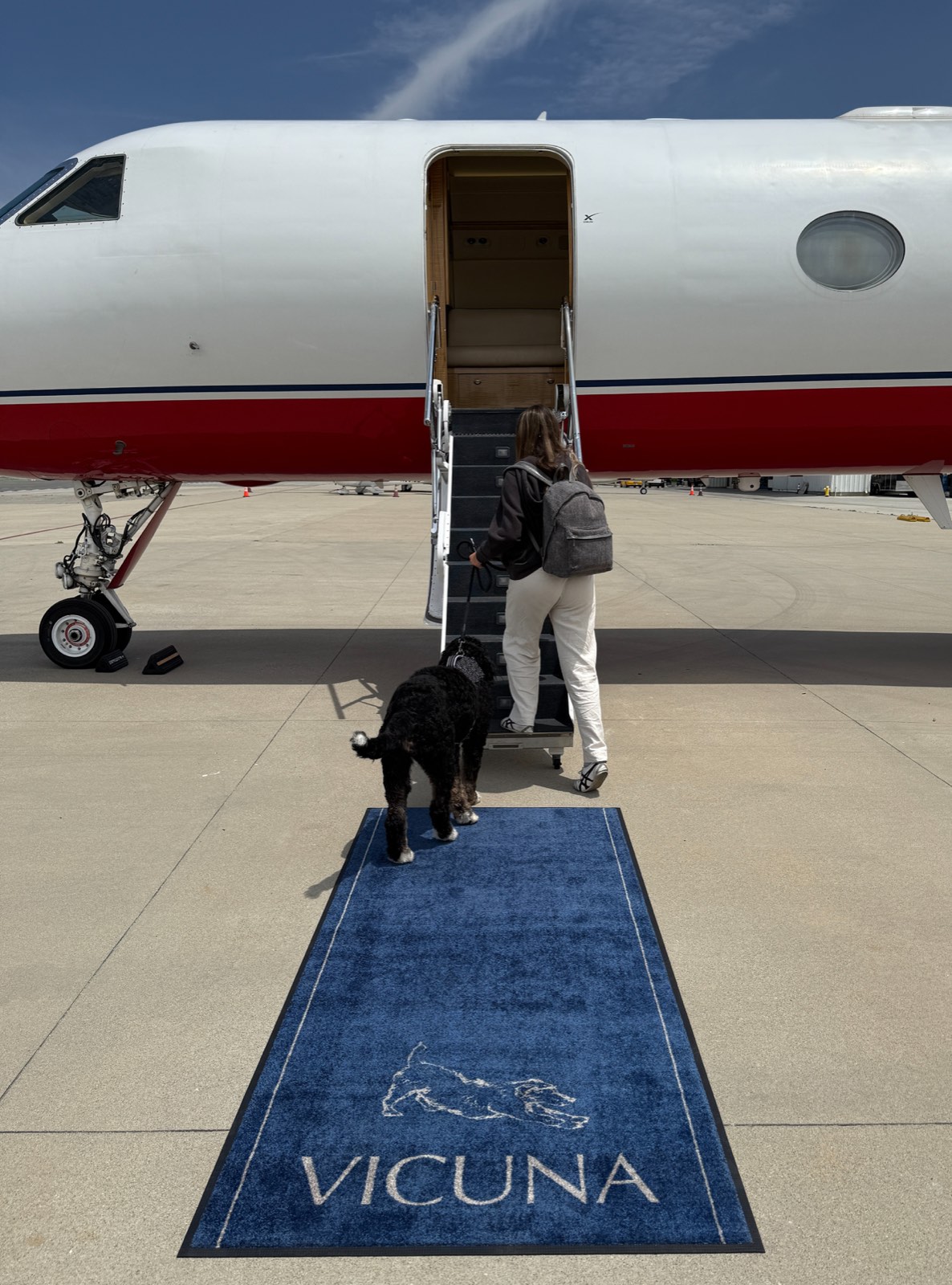 Vicuna Air Gulfstream GV private jet on the tarmac