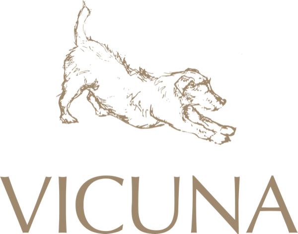 Vicuna Air logo