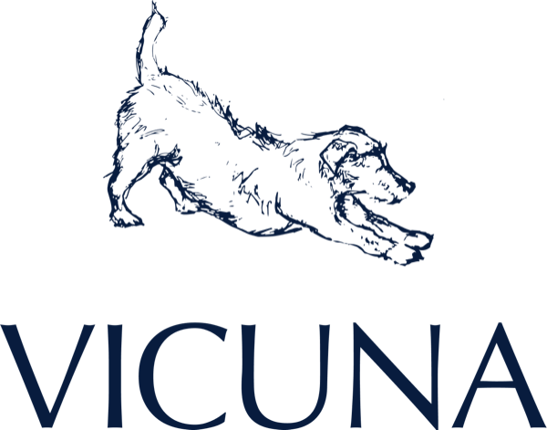 Vicuna Air logo